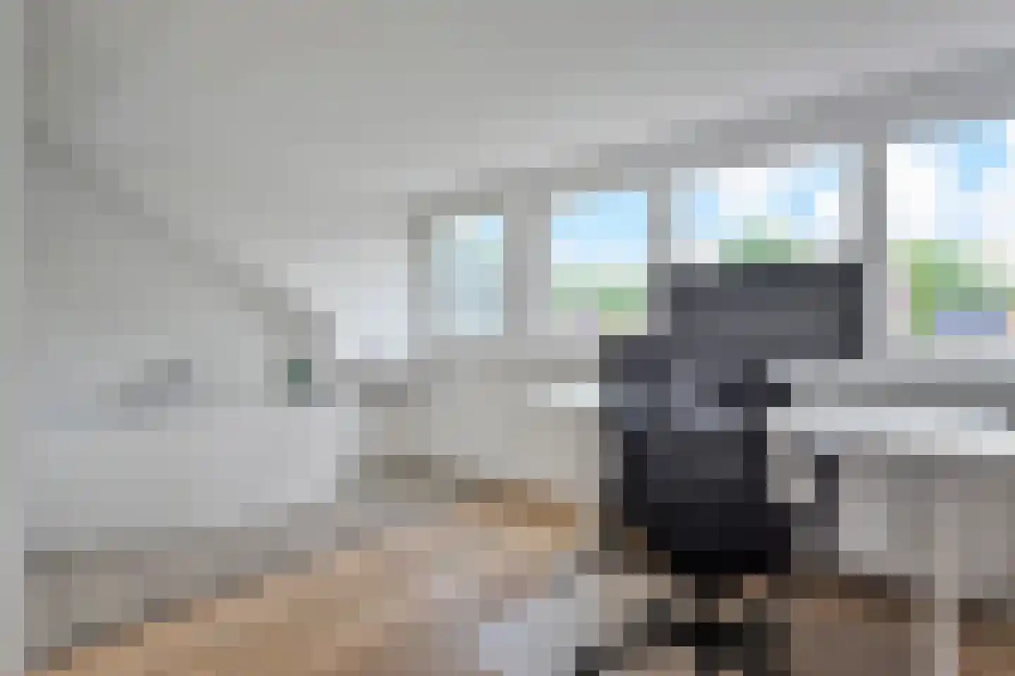 Blauw Glidkruid 35 Den Haag thumbnail 20