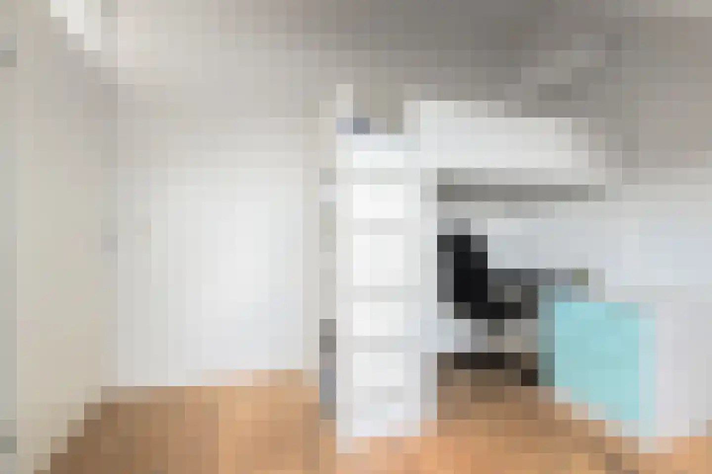 Blauw Glidkruid 35 Den Haag thumbnail 22
