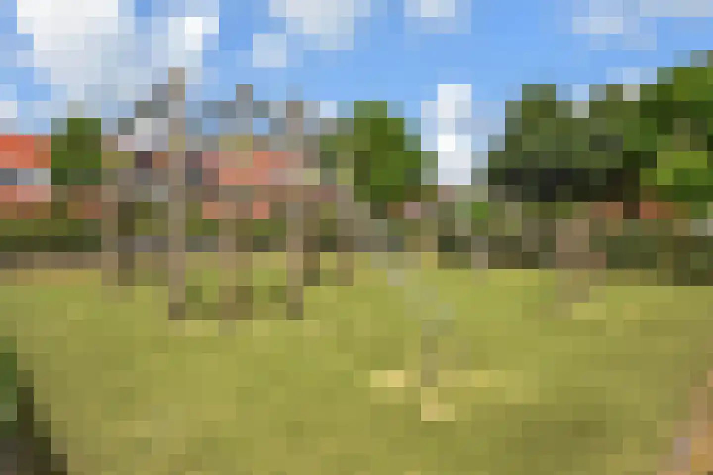Blauw Glidkruid 35 Den Haag thumbnail 28