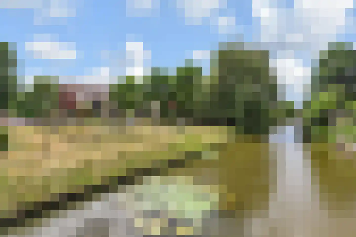 Blauw Glidkruid 35 Den Haag thumbnail 29