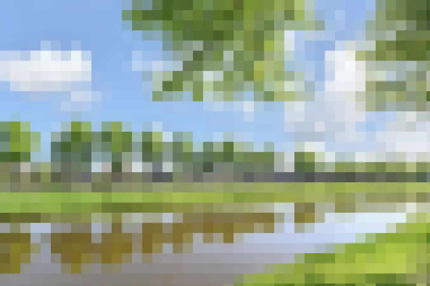 Blauw Glidkruid 35 Den Haag thumbnail 31