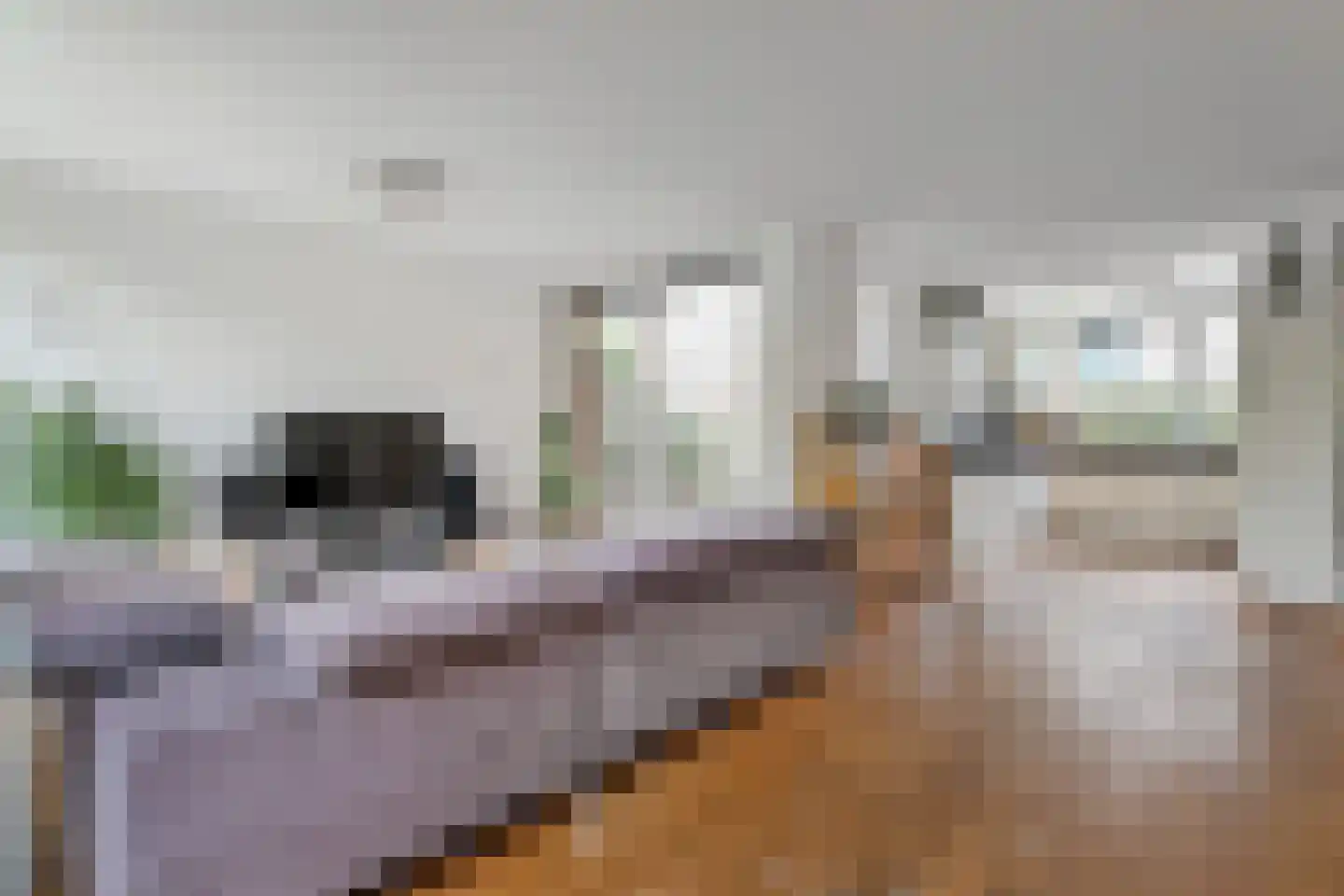 Blauw Glidkruid 35 Den Haag thumbnail 6