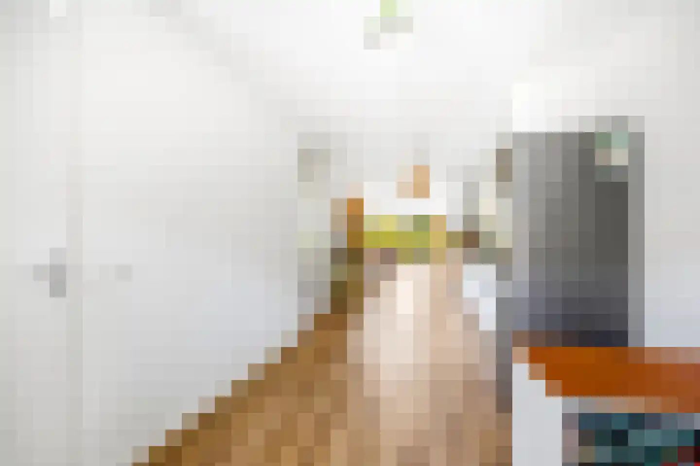 Blauw Glidkruid 42 Den Haag thumbnail 10