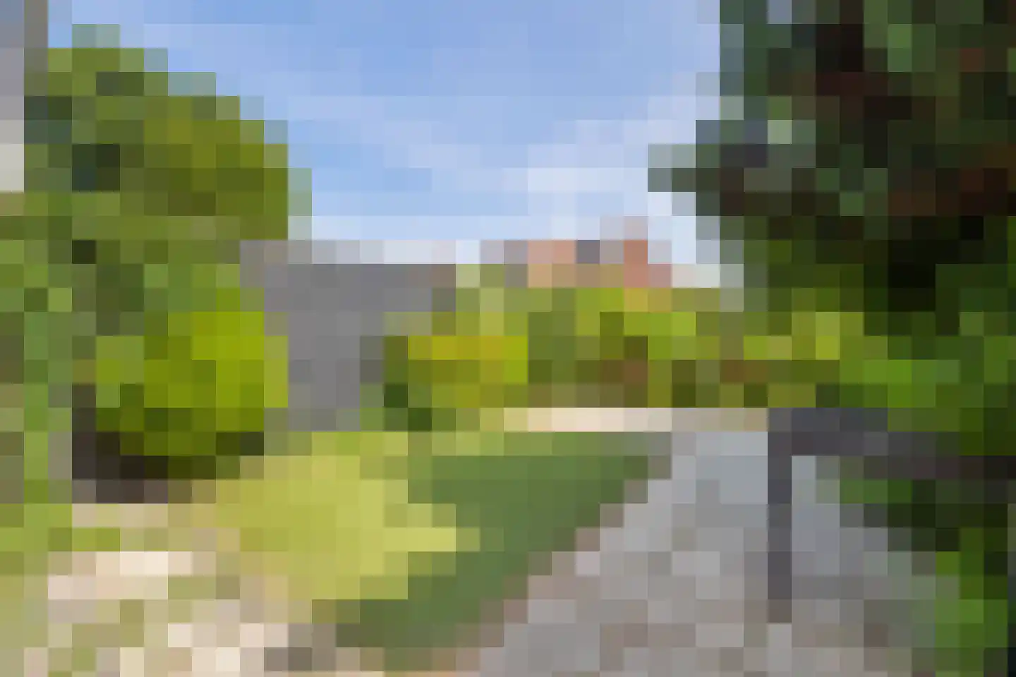 Blauw Glidkruid 42 Den Haag thumbnail 16