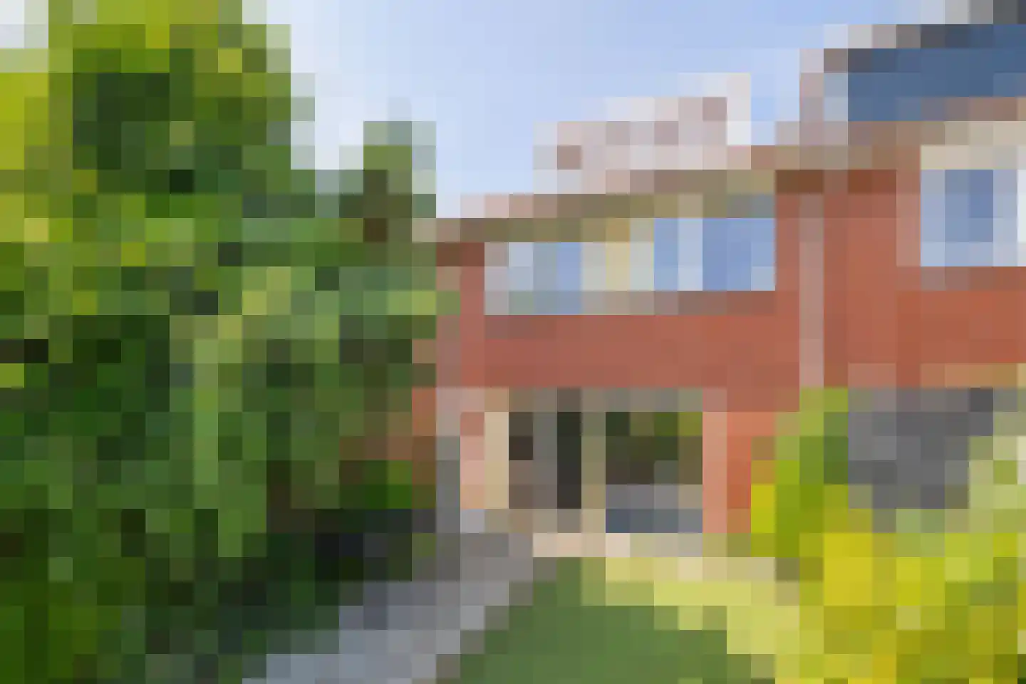 Blauw Glidkruid 42 Den Haag thumbnail 18