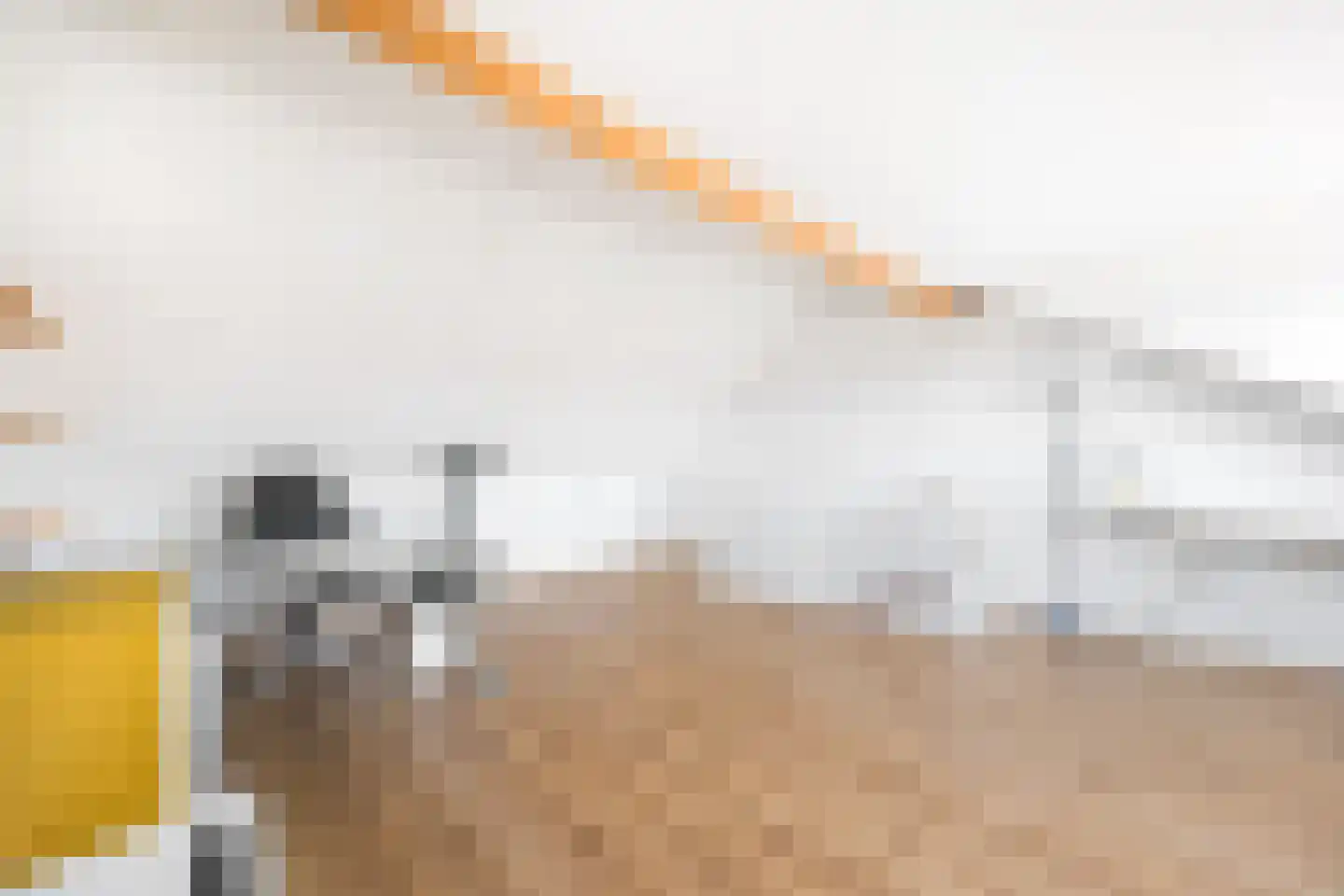 Blauw Glidkruid 42 Den Haag thumbnail 35