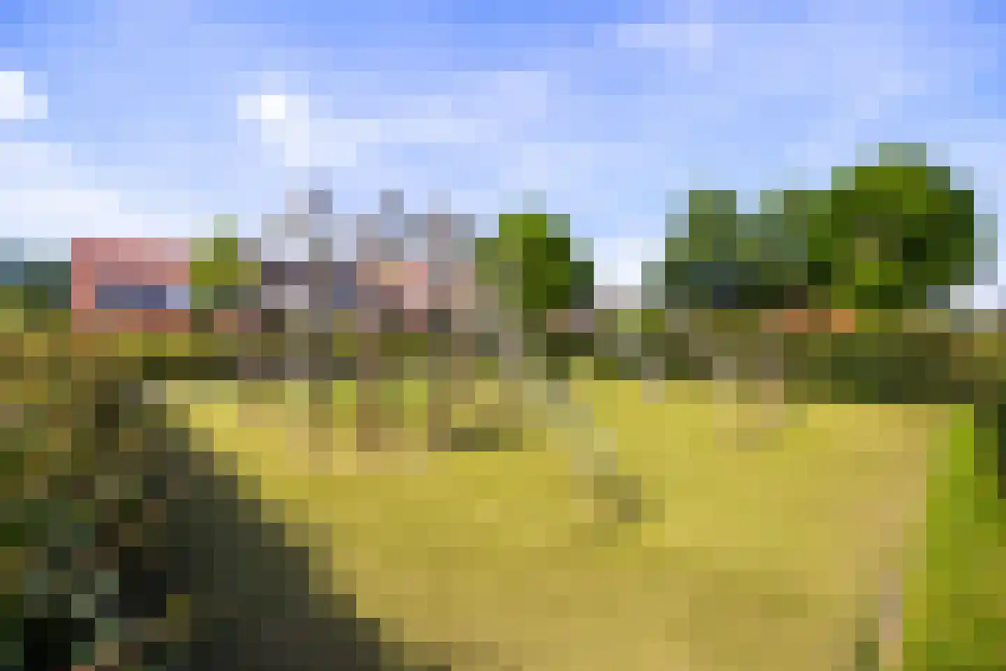 Blauw Glidkruid 42 Den Haag thumbnail 36