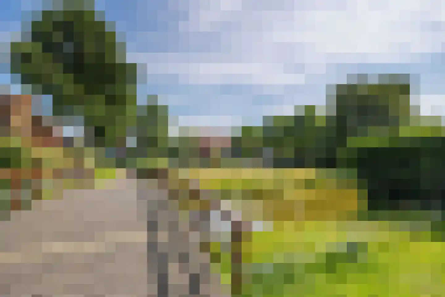 Blauw Glidkruid 42 Den Haag thumbnail 37