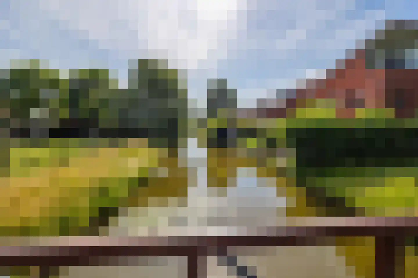 Blauw Glidkruid 42 Den Haag thumbnail 38