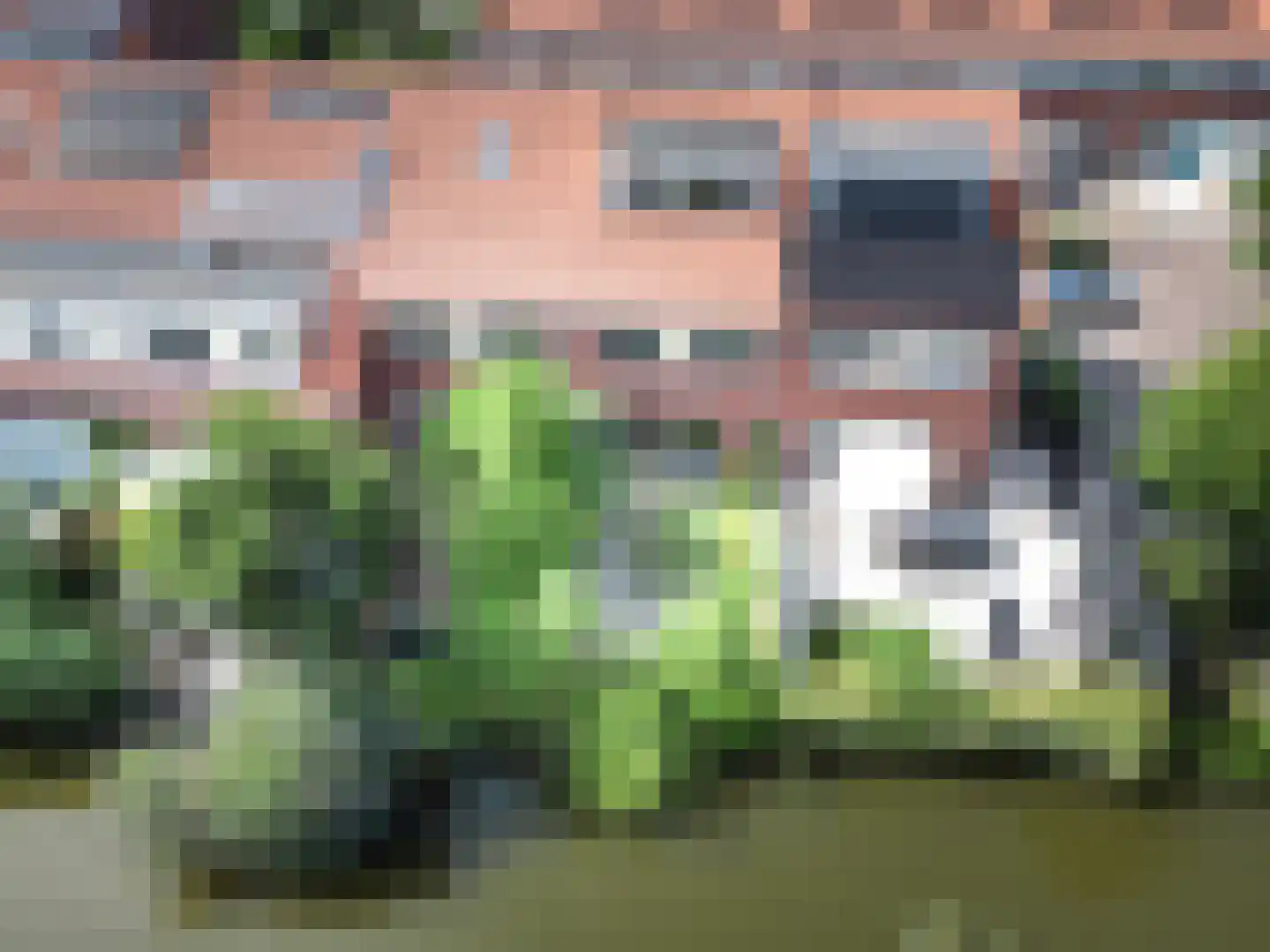 Blauw Glidkruid 42 Den Haag thumbnail 39