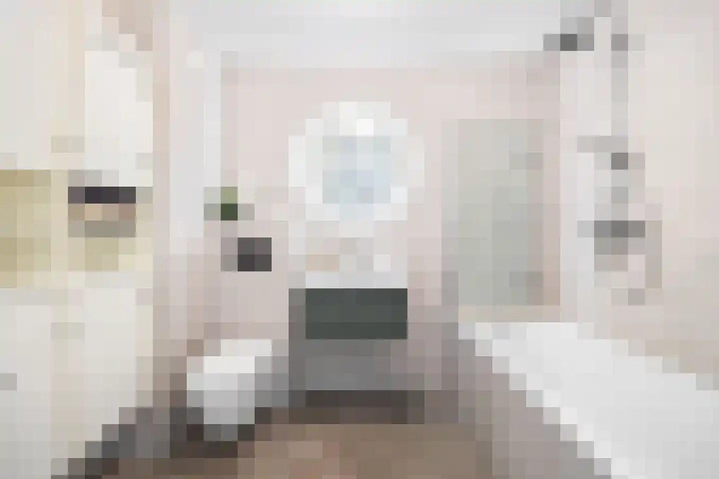 Blauw Glidkruid 42 Den Haag thumbnail 4