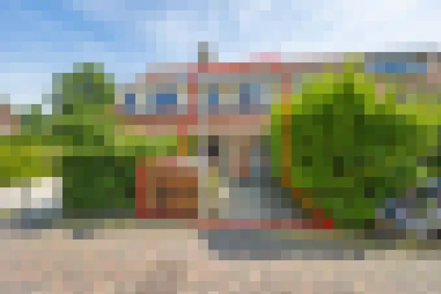 Blauw Glidkruid 42 Den Haag thumbnail 40