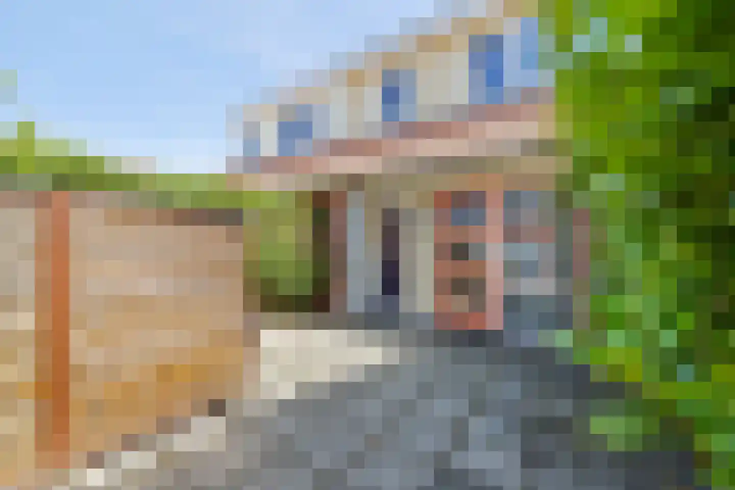 Blauw Glidkruid 42 Den Haag thumbnail 6
