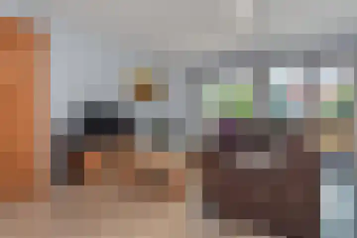 Blauw Glidkruid 54 Den Haag thumbnail 13