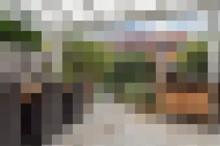 Blauw Glidkruid 54 Den Haag thumbnail 15