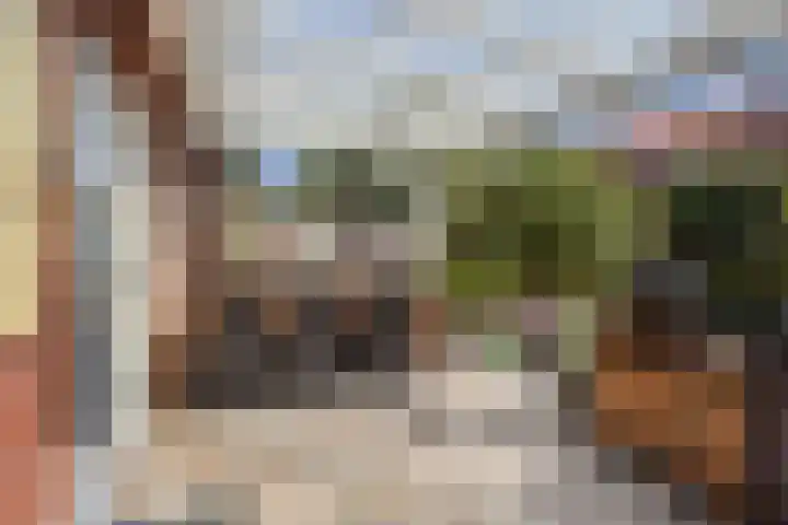 Blauw Glidkruid 54 Den Haag thumbnail 17