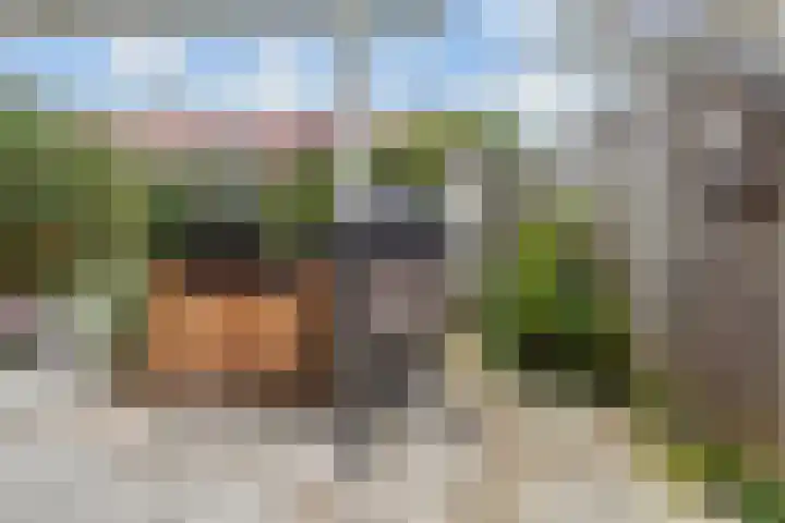 Blauw Glidkruid 54 Den Haag thumbnail 19