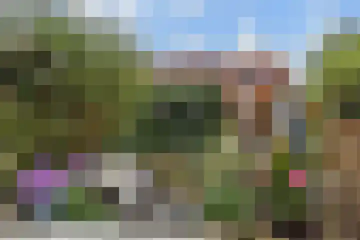 Blauw Glidkruid 54 Den Haag thumbnail 20