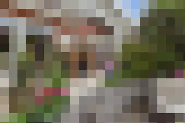 Blauw Glidkruid 54 Den Haag thumbnail 22