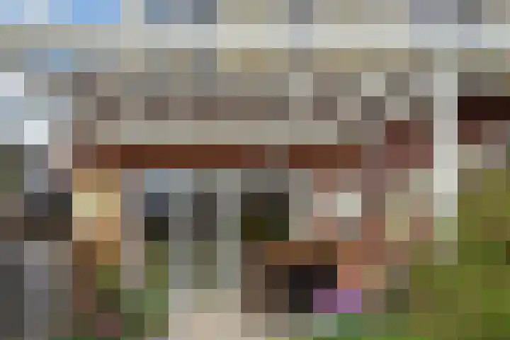 Blauw Glidkruid 54 Den Haag thumbnail 25