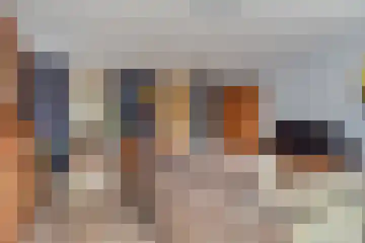 Blauw Glidkruid 54 Den Haag thumbnail 26