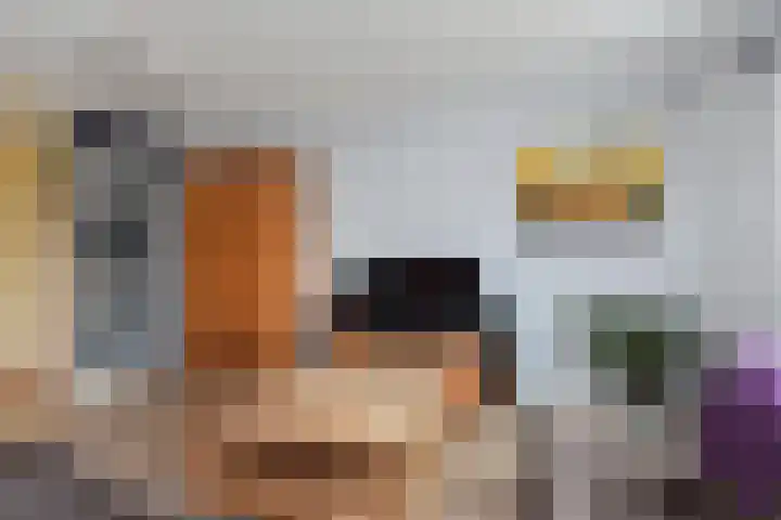 Blauw Glidkruid 54 Den Haag thumbnail 27
