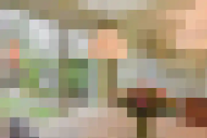 Blauw Glidkruid 54 Den Haag thumbnail 31