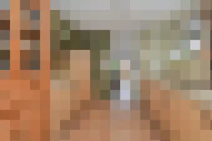 Blauw Glidkruid 54 Den Haag thumbnail 33