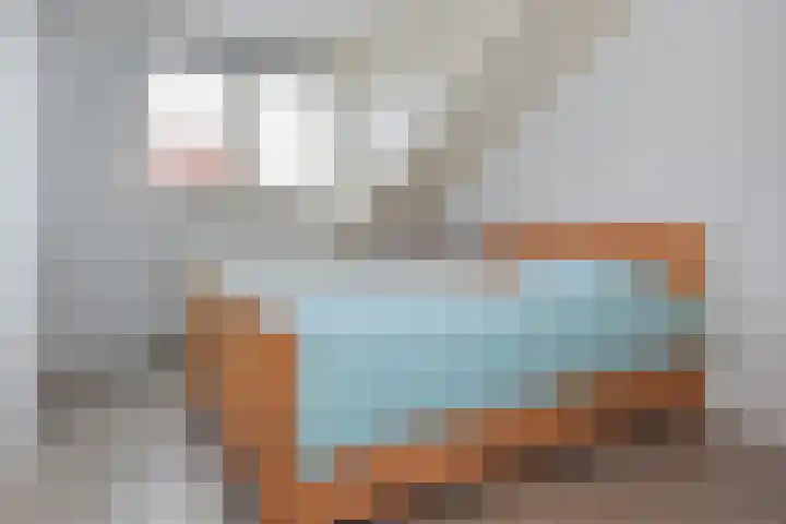Blauw Glidkruid 54 Den Haag thumbnail 37