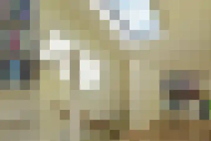 Blauw Glidkruid 54 Den Haag thumbnail 46