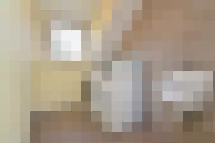 Blauw Glidkruid 54 Den Haag thumbnail 47