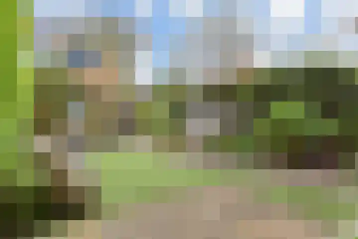 Blauw Glidkruid 54 Den Haag thumbnail 51