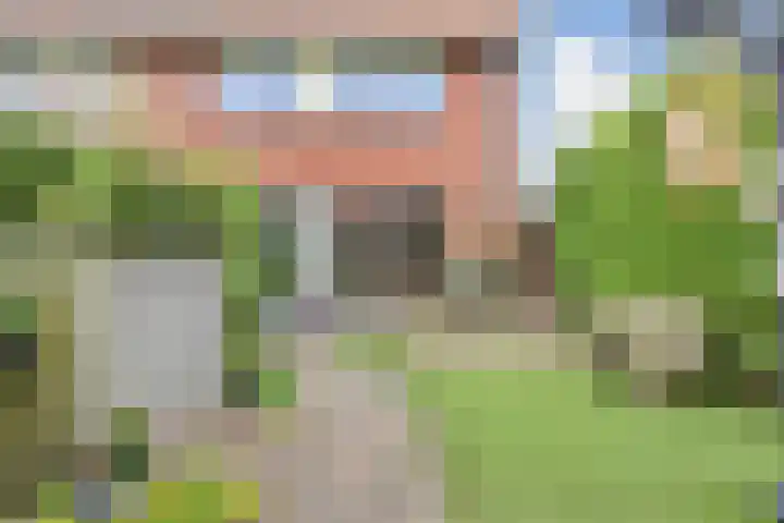 Blauw Glidkruid 54 Den Haag thumbnail 6
