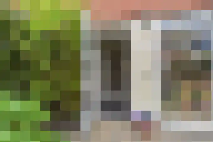 Blauw Glidkruid 54 Den Haag thumbnail 8