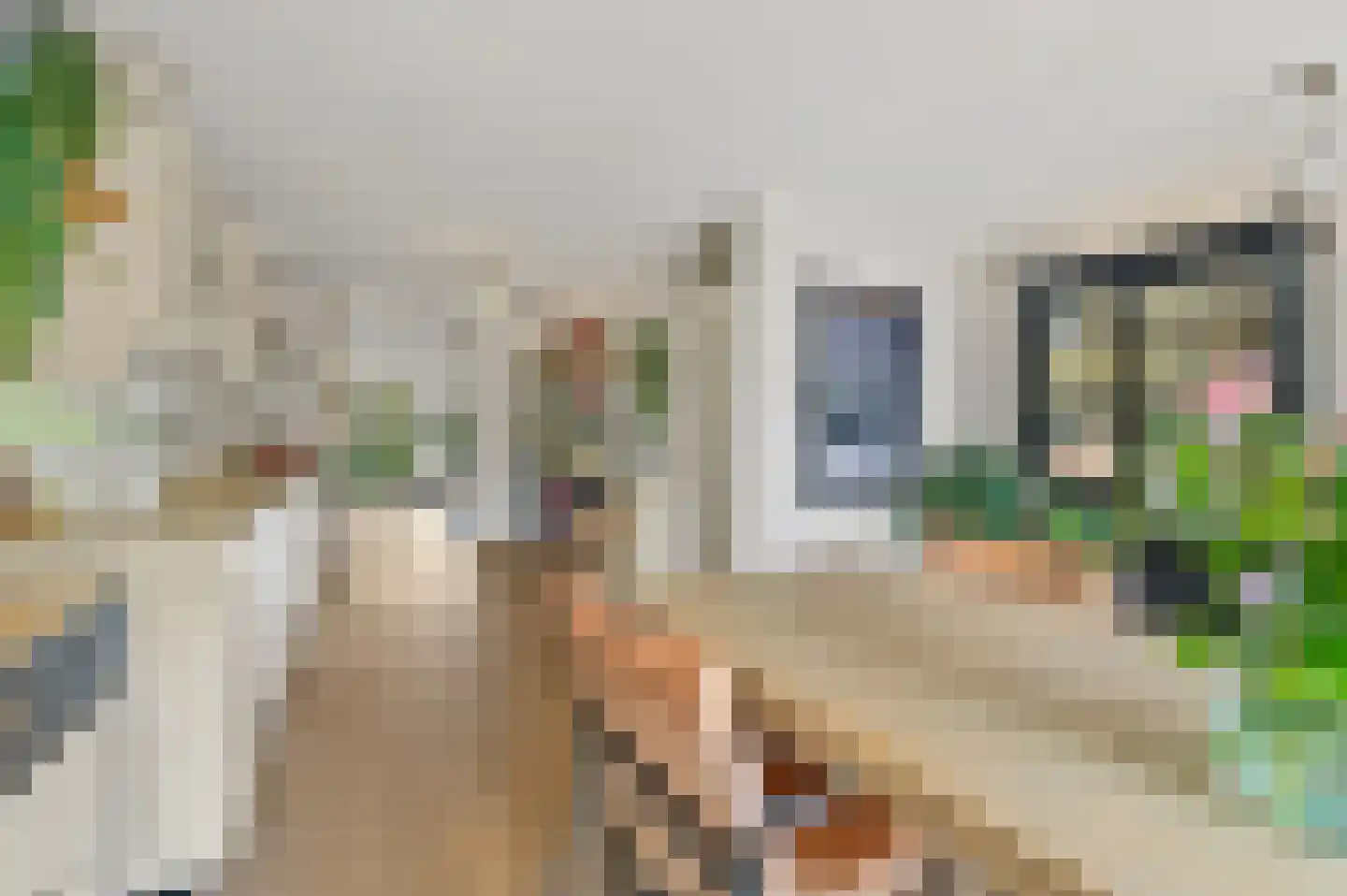 Blauw Glidkruid 63 Den Haag thumbnail 12