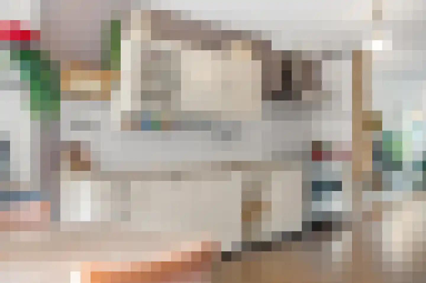 Blauw Glidkruid 63 Den Haag thumbnail 15