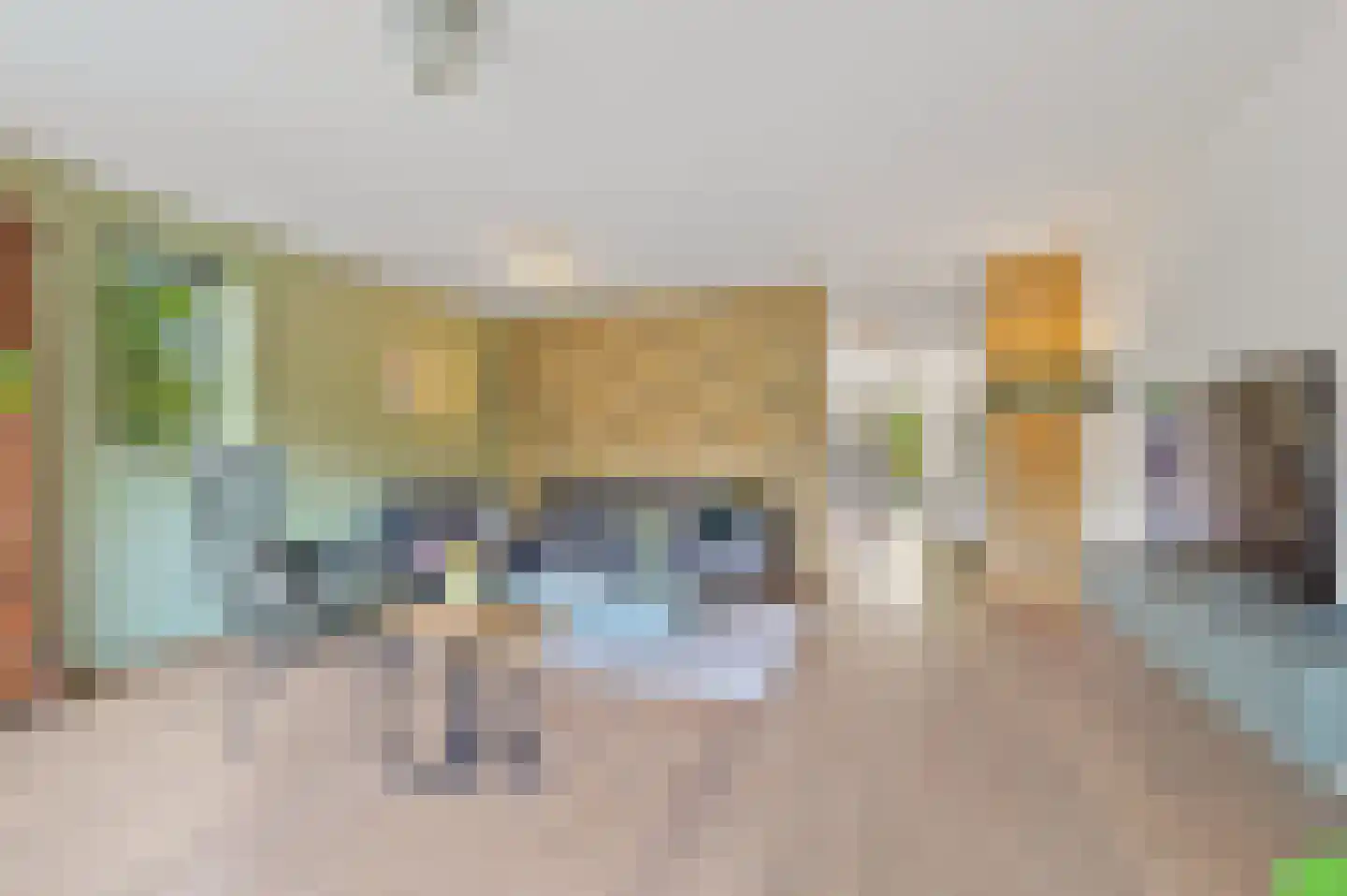 Blauw Glidkruid 63 Den Haag thumbnail 19