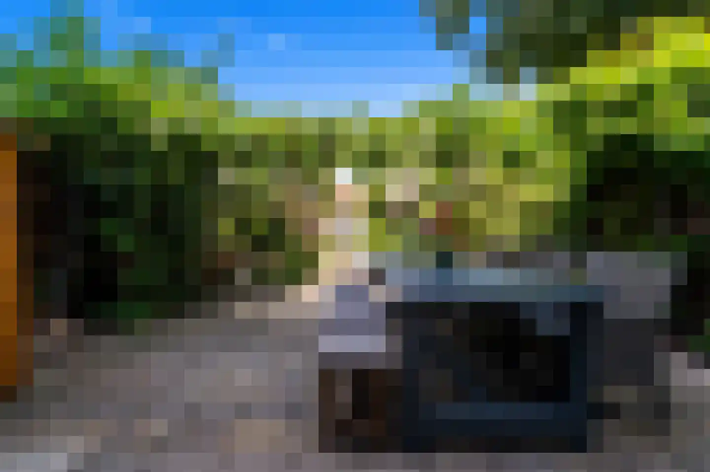 Blauw Glidkruid 63 Den Haag thumbnail 27