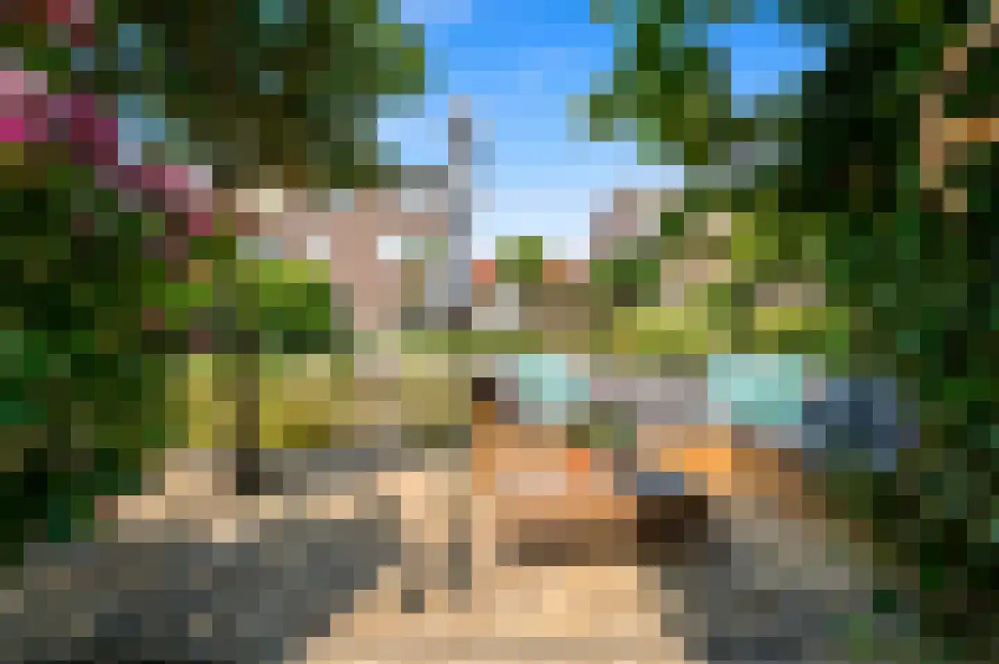 Blauw Glidkruid 63 Den Haag thumbnail 28