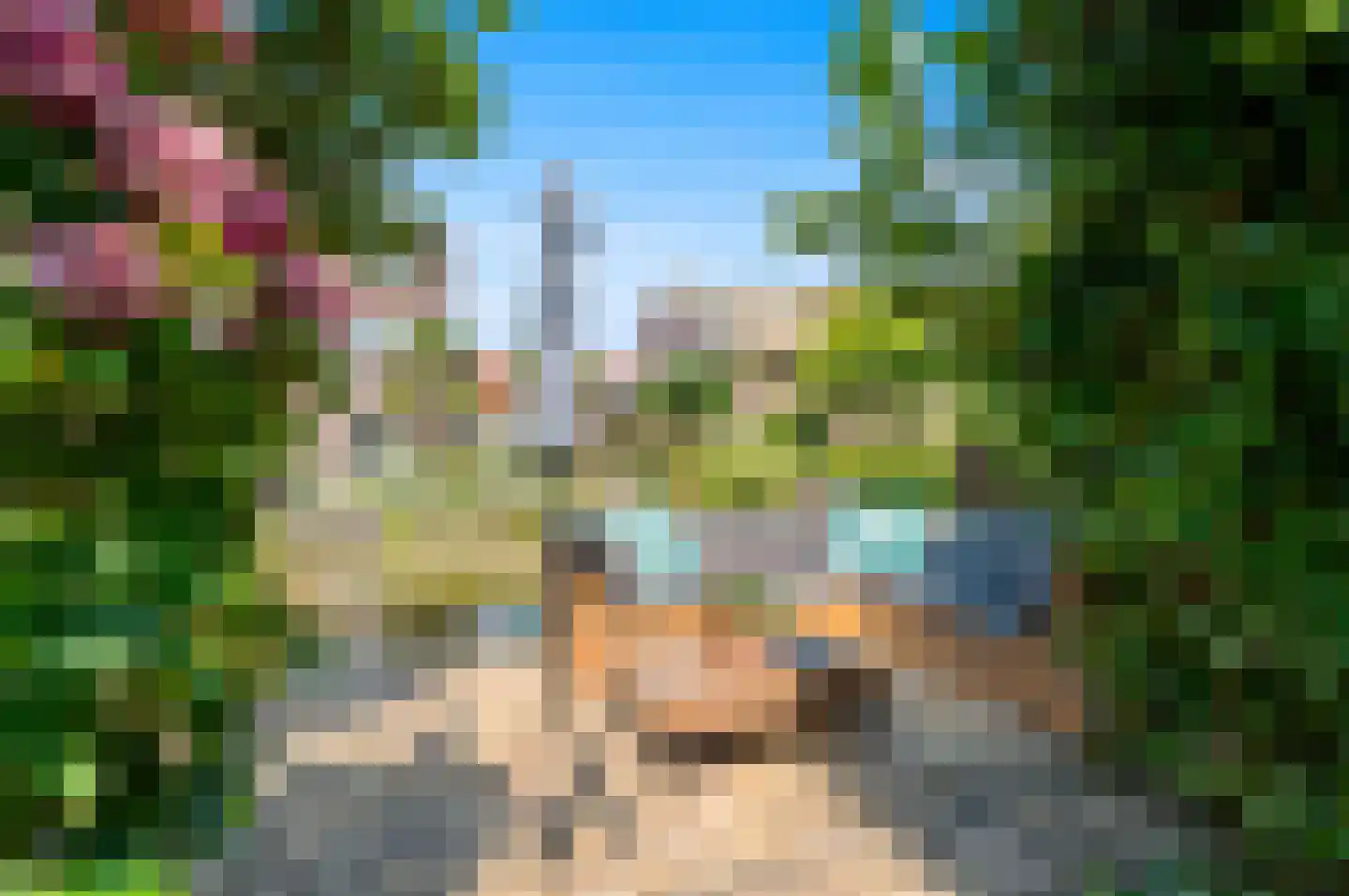Blauw Glidkruid 63 Den Haag thumbnail 30