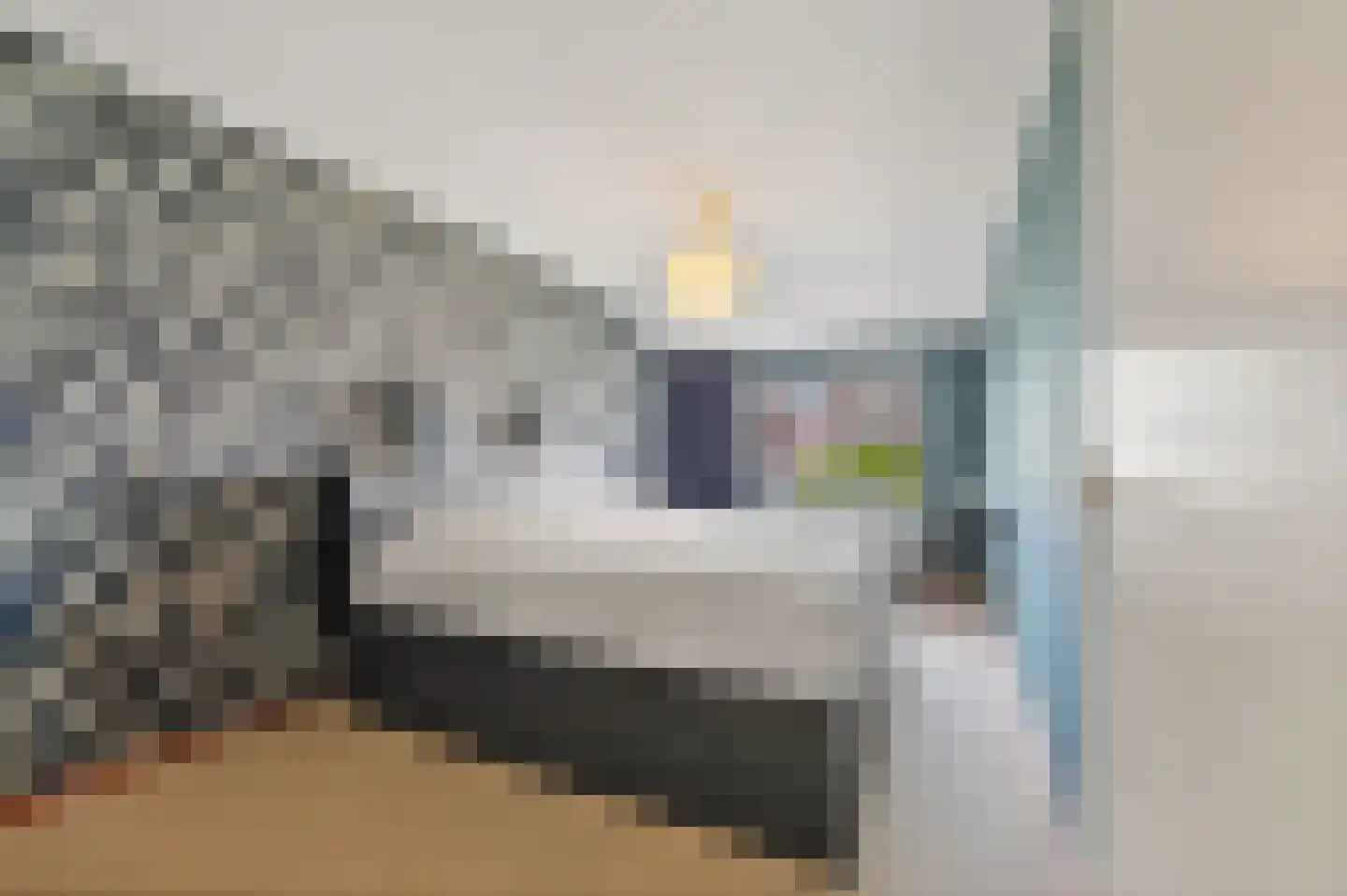 Blauw Glidkruid 63 Den Haag thumbnail 41