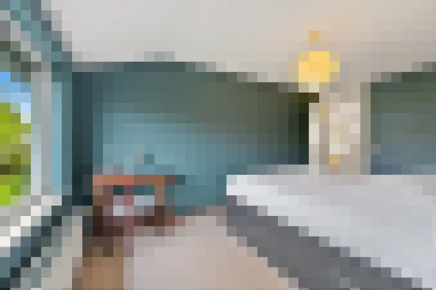 Blauw Glidkruid 63 Den Haag thumbnail 42