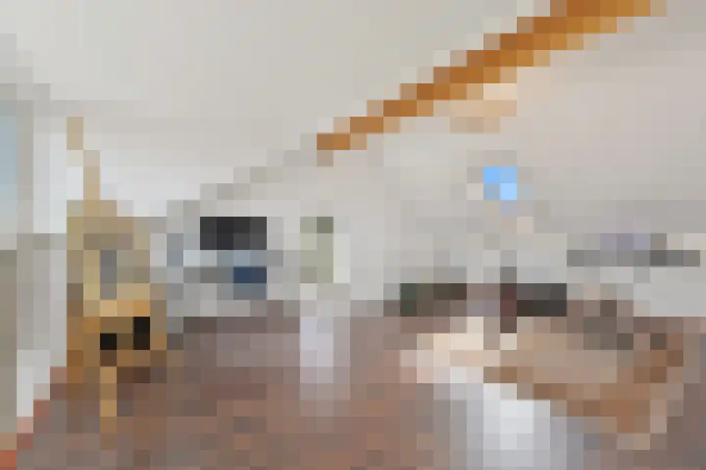 Blauw Glidkruid 63 Den Haag thumbnail 48