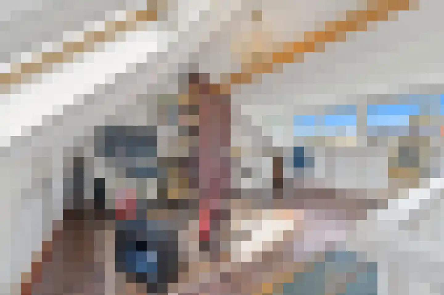 Blauw Glidkruid 63 Den Haag thumbnail 49