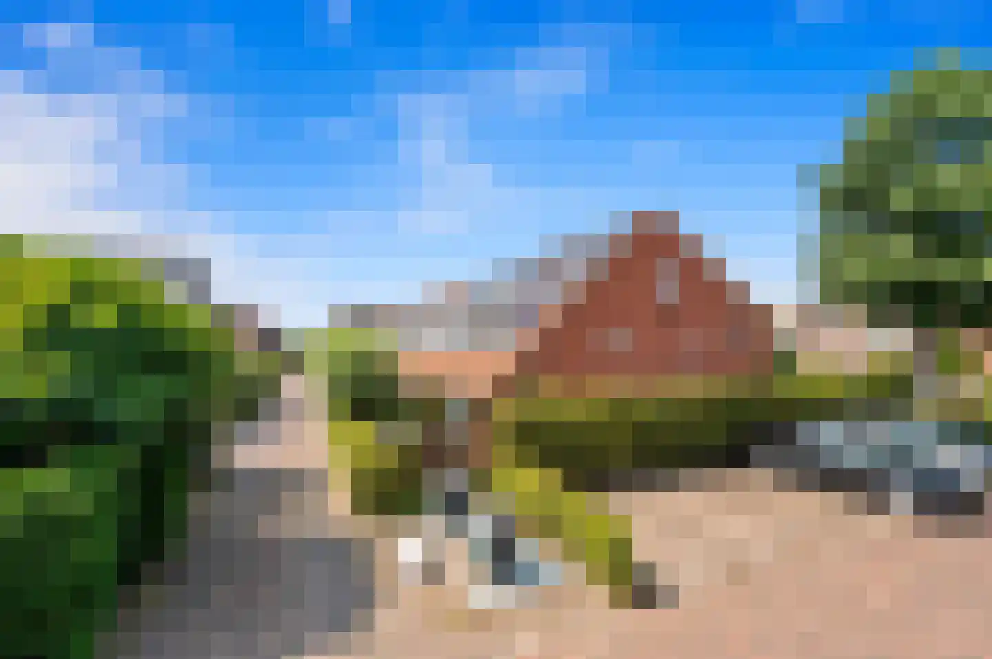 Blauw Glidkruid 63 Den Haag thumbnail 5