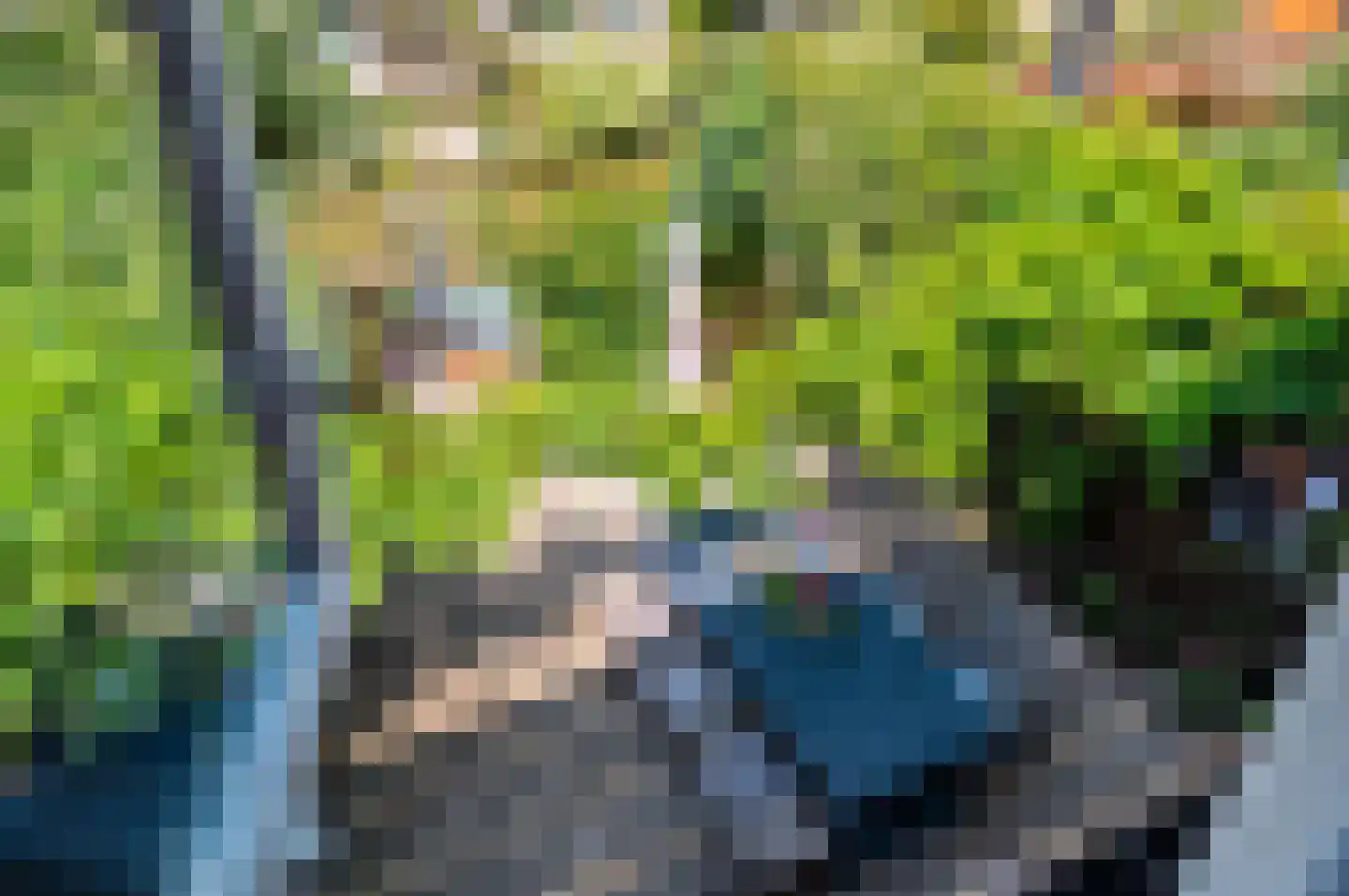 Blauw Glidkruid 63 Den Haag thumbnail 51