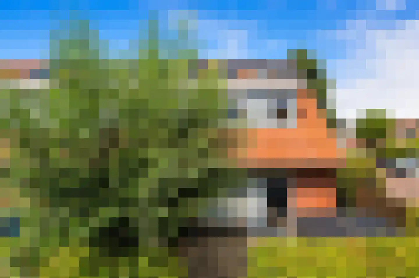 Blauw Glidkruid 63 Den Haag thumbnail 53