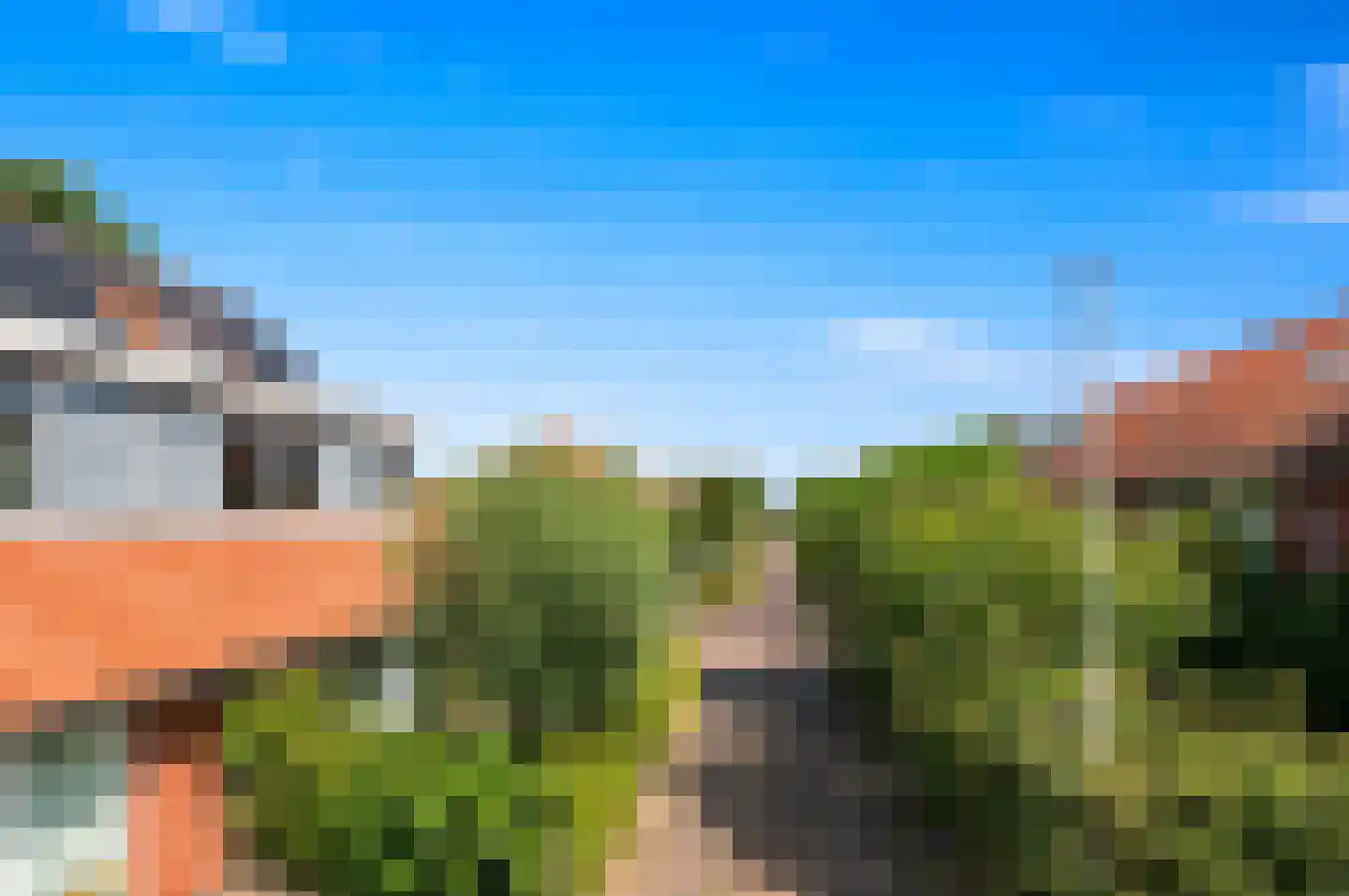 Blauw Glidkruid 63 Den Haag thumbnail 54