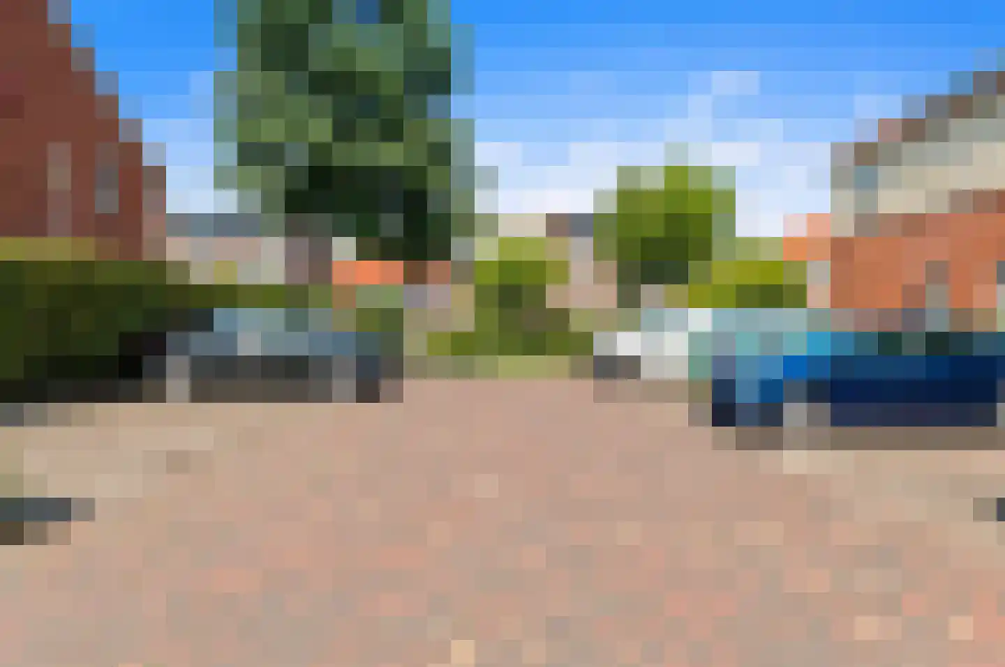 Blauw Glidkruid 63 Den Haag thumbnail 56