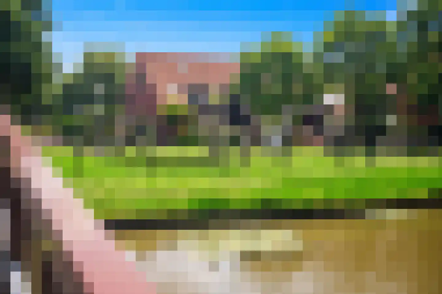 Blauw Glidkruid 63 Den Haag thumbnail 57